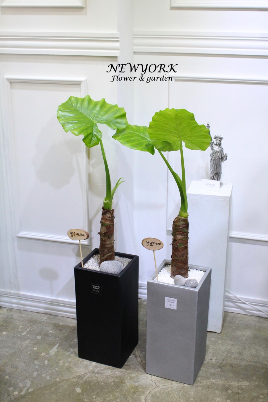 3034831955_0MGrFxJZ_ca5362f68d25794470ef46df6bb40786076ac2fd.jpg 이미지크게보기