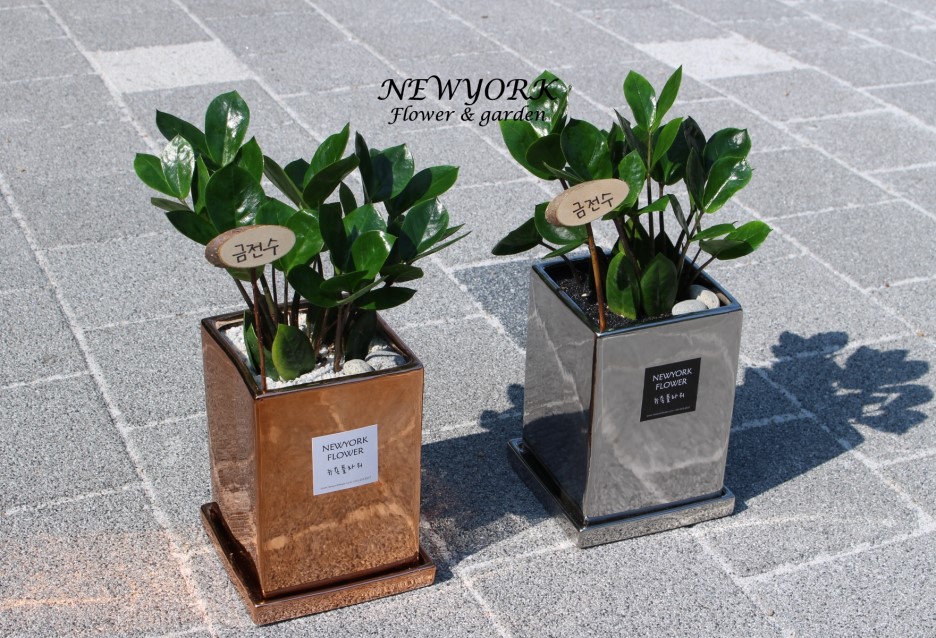 3034831955_0m6OLzNX_b3cb1cae0a8e83d9d01e48f62e61a33d91d43313.jpg 이미지크게보기