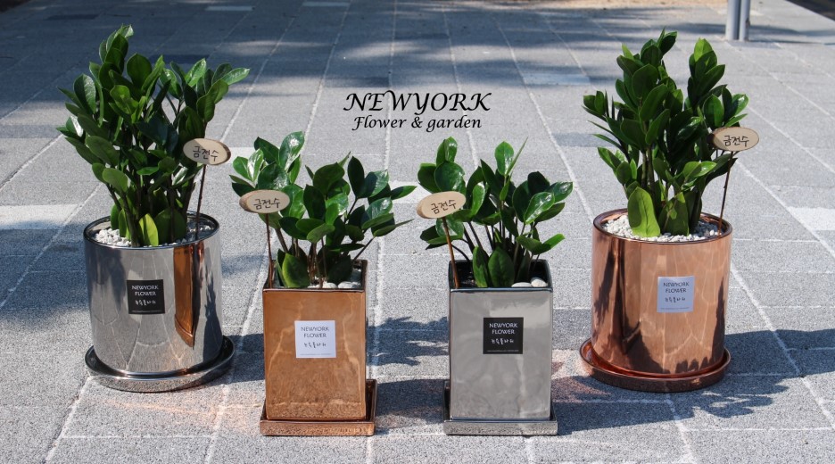 3034831955_7krf1iKu_6d31b6e775a8da837eaba9e1a5ae5ce992221f10.jpg 이미지크게보기