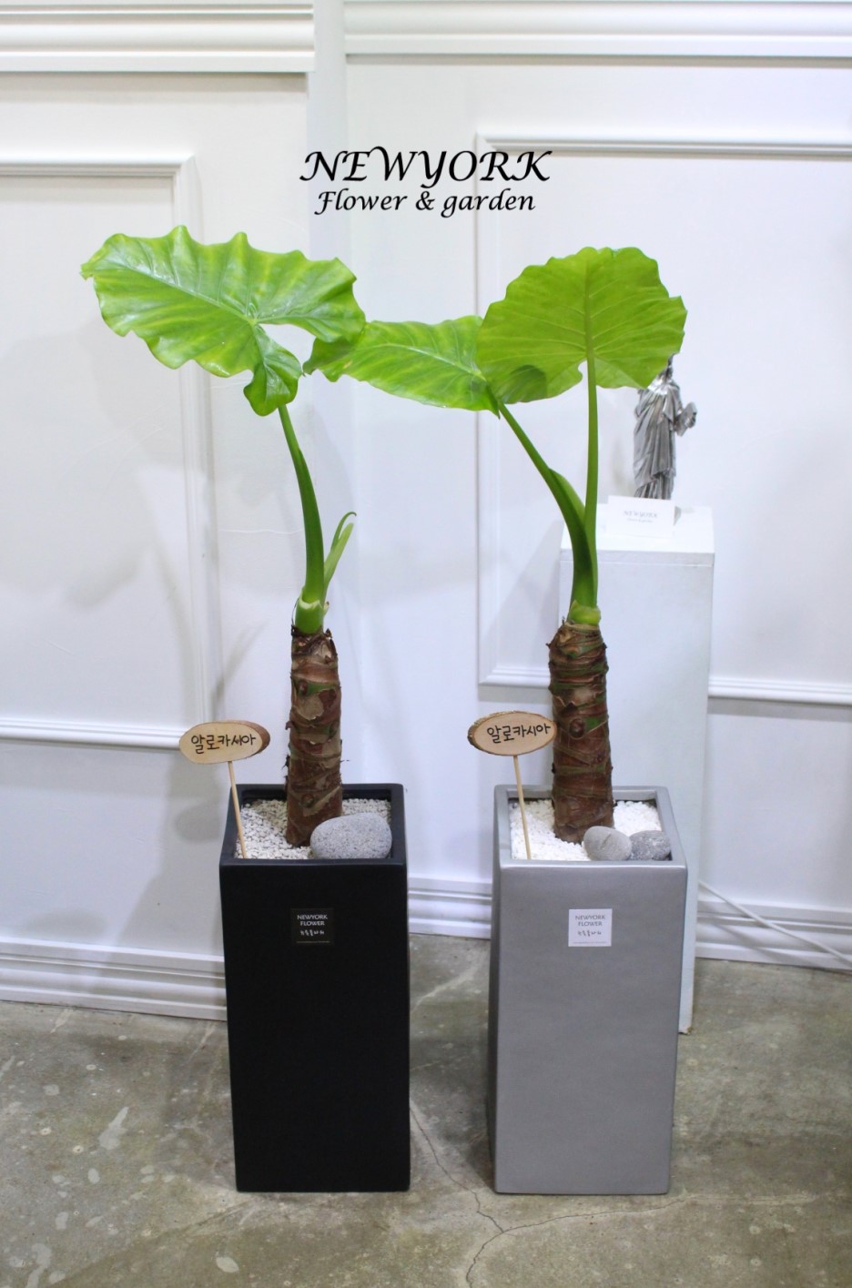 3034831955_HtAv1on5_811d48098aa0e8385e0c0fce840022a1ad4d4f69.jpg 이미지크게보기
