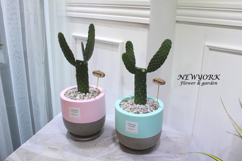 3034831955_IB8qrXbg_70ae61241031186e7e5c2847f84b191551fdac00.jpg 이미지크게보기
