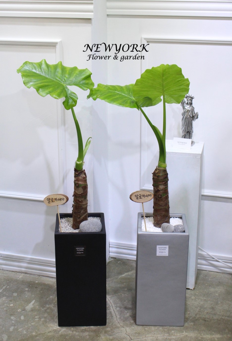 3034831955_NOnaQWeV_4dcbd6fe3861135f0025ea72abee7202f2a287dd.jpg 이미지크게보기