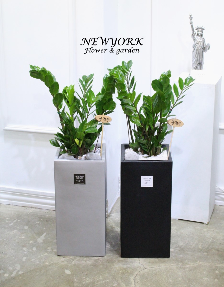 3034831955_Wk8jc75e_4c051e4d9cd87cd6a51eab6da05a66c1ed11e0f5.jpg 이미지크게보기