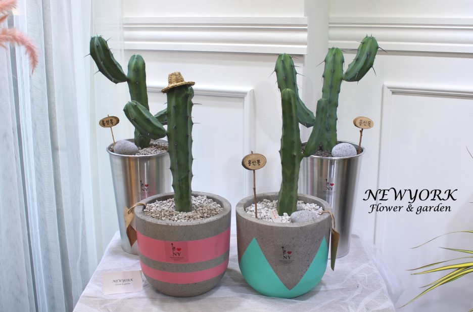 3034831955_X5SJOT9N_602aeb36706e12f757ac2230ad30962f7935cc3e.jpg 이미지크게보기
