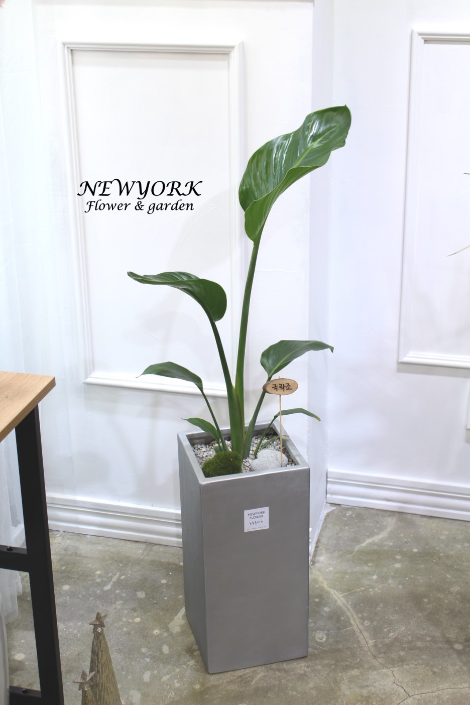 3034831955_aD0SYqje_3d03f64b89081b247aa11c9da1f61d19aa738aa3.jpg 이미지크게보기