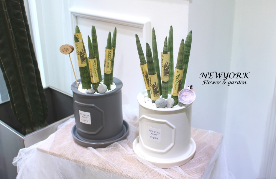 3034831955_hjEXDvla_ab7ff91440a9da81e71a49e807ea52d6f6f7b7e8.jpg 이미지크게보기