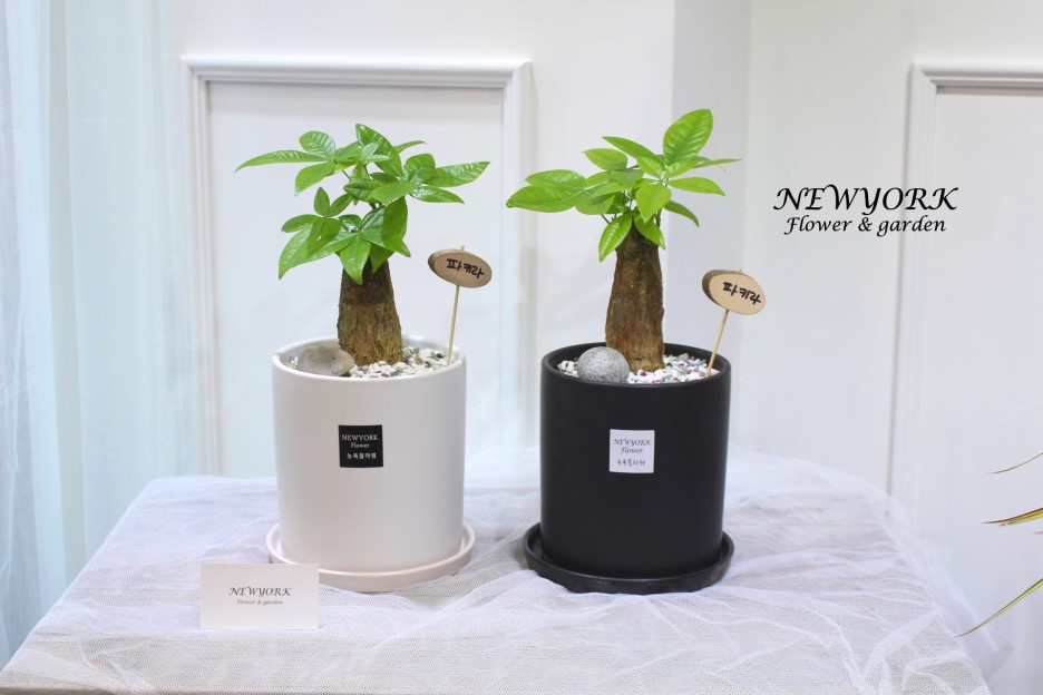 3034831955_n35v7jIU_0001911245bafb71fa35629c182e95f8e1122156.jpg 이미지크게보기