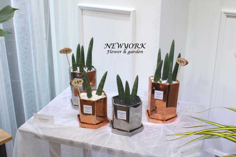 3034831955_nJgRE86W_2939f53d3b2f45e324bb5cb738b24045eb3cce7b.jpg 이미지크게보기