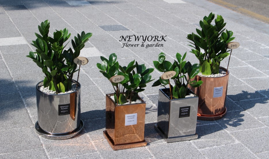 3034831955_nS52D4g6_a6ec679b90ed758f976290eddab8489b3c1fb407.jpg 이미지크게보기
