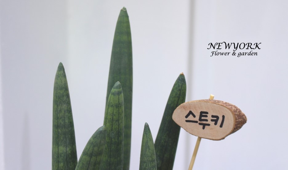 3034831955_odqkPalv_a5a87795ab9e8e8219a43e83b0de97af06c198f9.jpg 이미지크게보기