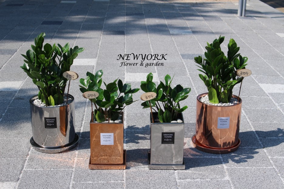 3034831955_rqoUXtzY_0ce67d2c2d9810d462e2f3df5efe2a8881437e31.jpg 이미지크게보기