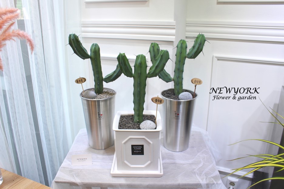 3034831955_wHNXzDY1_7b1da33802e93a42ceebaafe89c27f40919ef34c.jpg 이미지크게보기