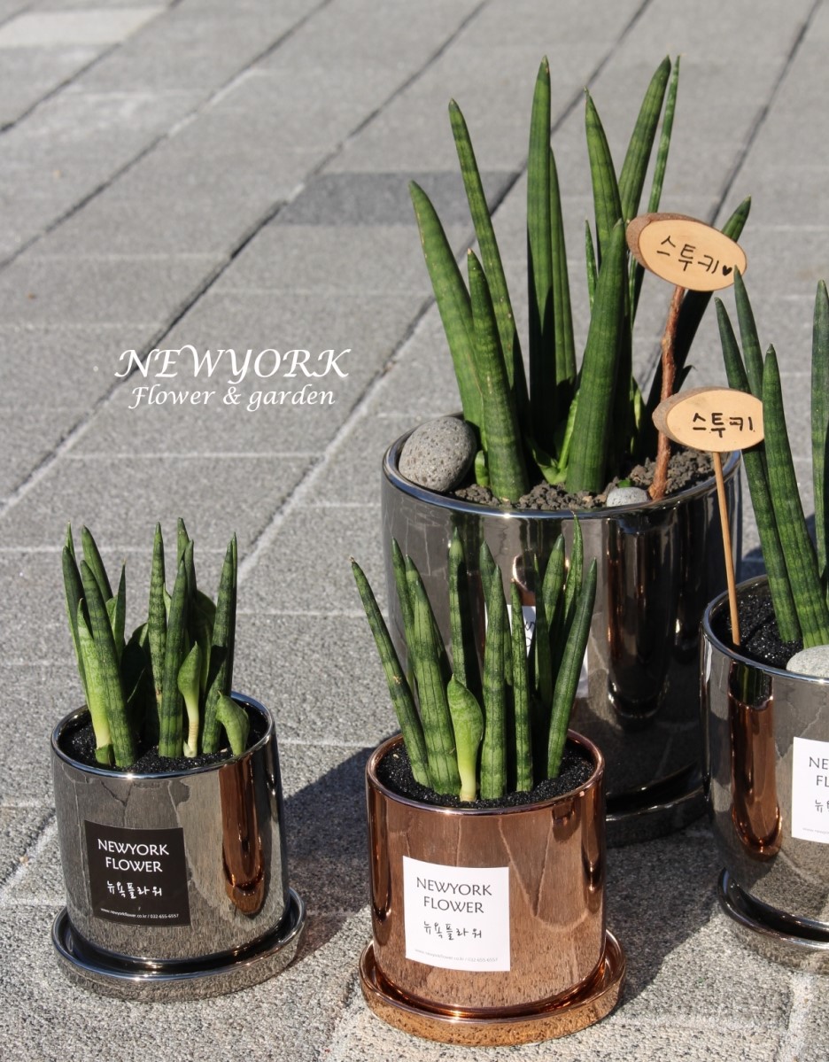 662232340_80vqGHiJ_8571f37a17a489889959cd19fe562d9104c50fb0.jpg 이미지크게보기