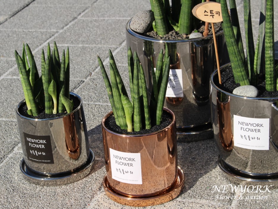 662232340_ExwmijM6_00c00f942ab53cd25029e0513edecae08d9cf99b.jpg 이미지크게보기