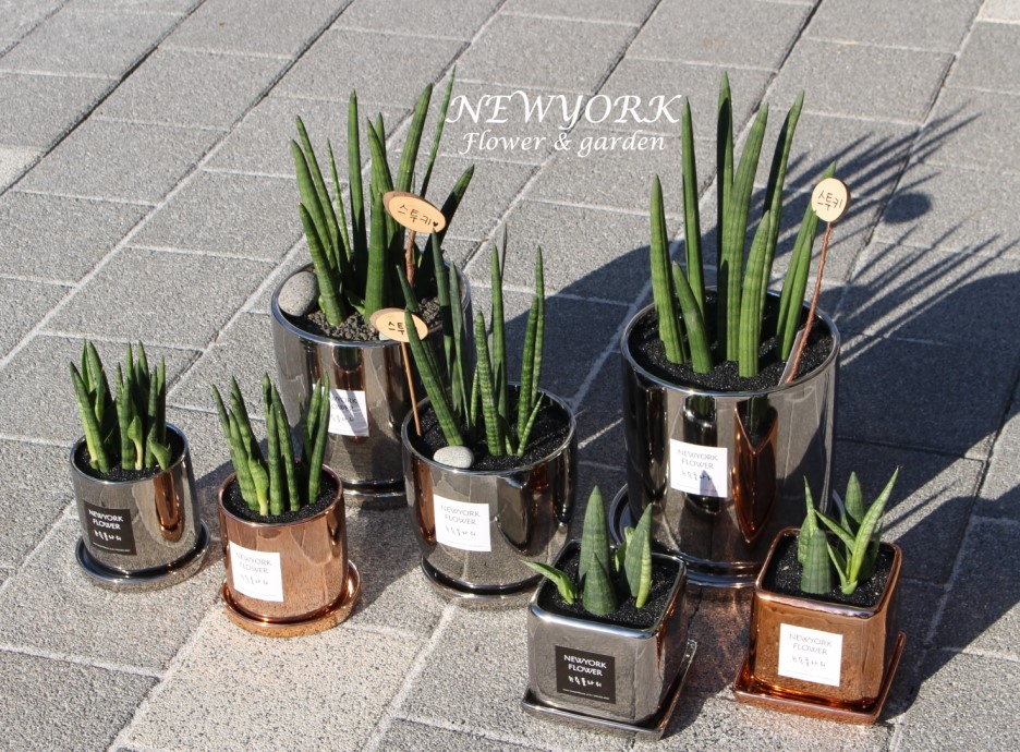 662232340_YAHM6brZ_2115ceb8835ed953664933cbcab2874700d26189.jpg 이미지크게보기