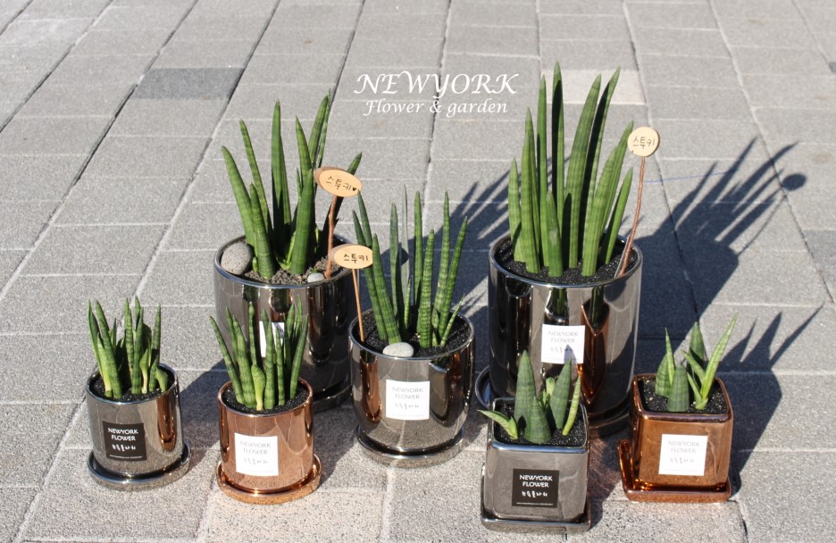 662232340_awUZj1XA_06ca103e31325117d77eccf5ecb414e62dc98ac7.jpg 이미지크게보기