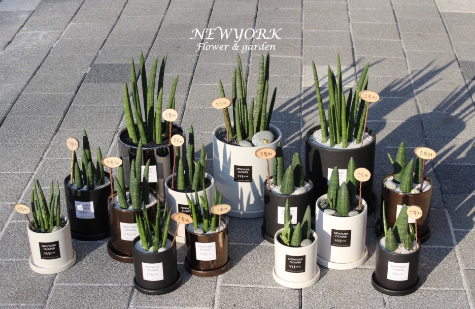 662232340_pTlwx7LE_d6cc5cc72e23f042f952298b4edc10497216c258.jpg 이미지크게보기