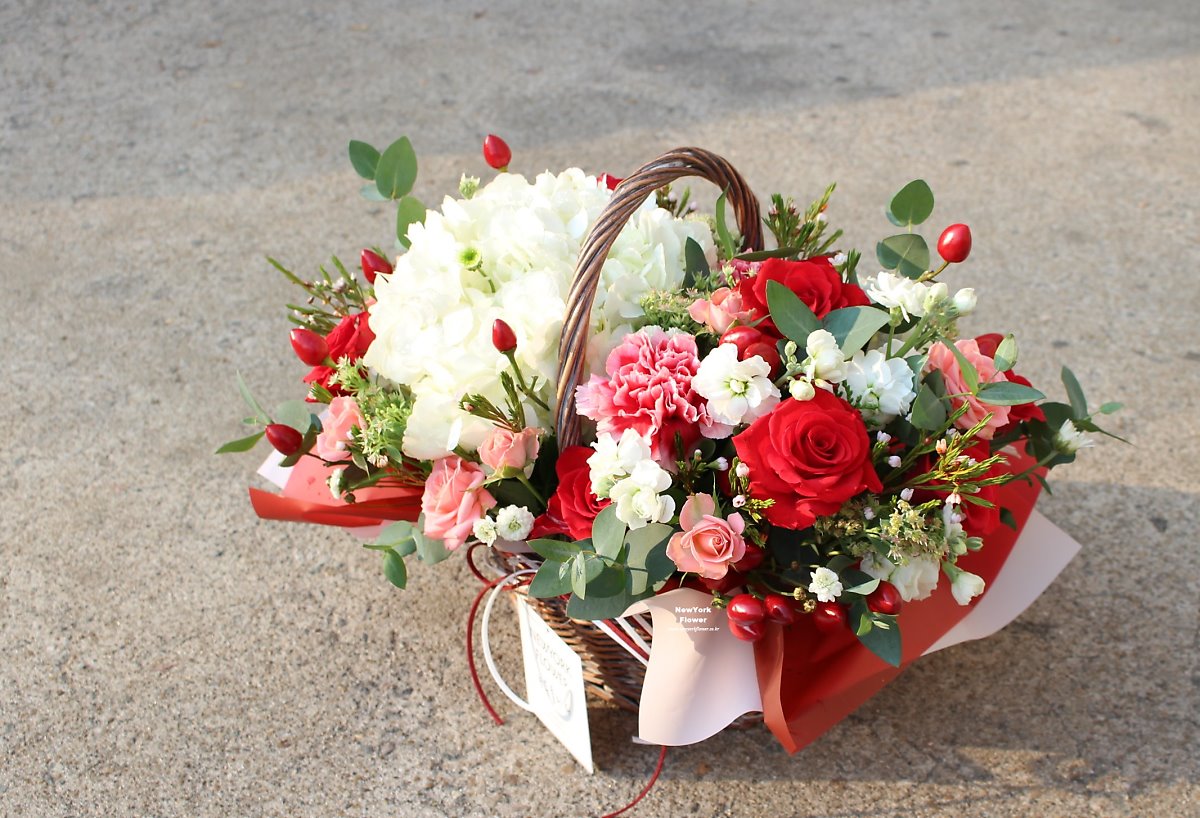 1935319850_IvQu6hWV_670a4a7502071b77497352815e920b62b3d0309e.jpg 이미지크게보기