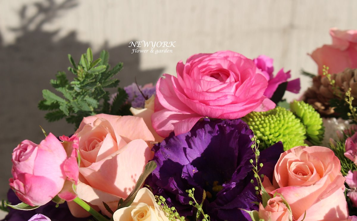 1935319850_ha75VDmL_5da8832ac7846519c49d9bc521e2f9ae5e61ae80.jpg 이미지크게보기