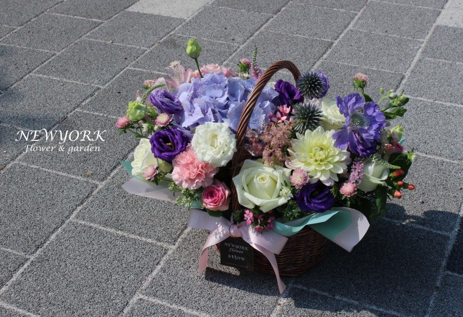 237354136_R7fxbHm1_2ae2bcc0f2f9af0c1812dfd54b53d046d9e4321e.jpg 이미지크게보기
