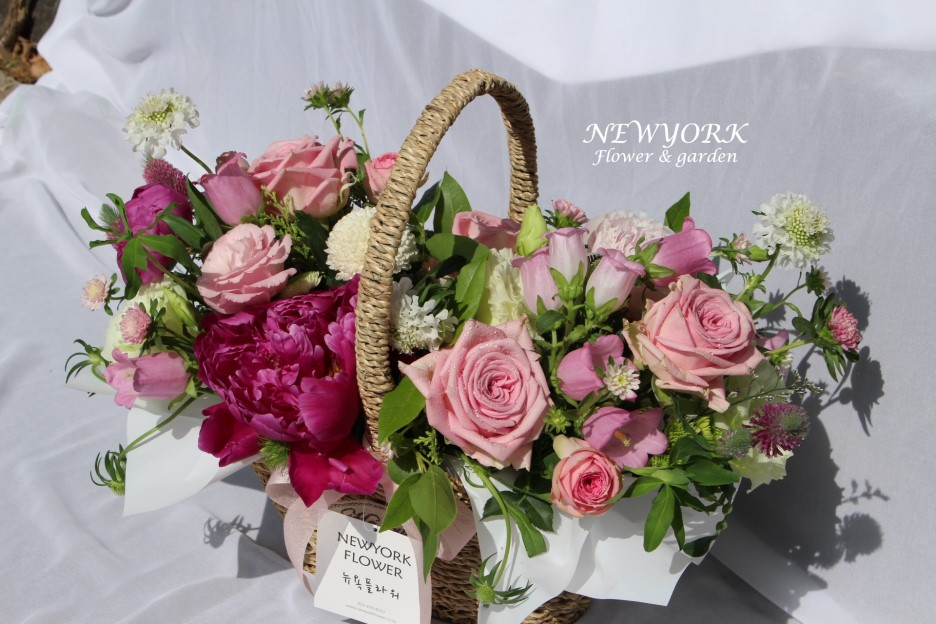237354136_bR6wFlUC_825edea29c162dc4de158fcee02875ced7adbeb5.png 이미지크게보기