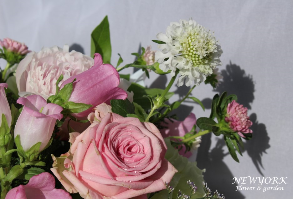 237354136_uBgSEZ0I_c6c38302e2153d0ad646b0b555b0643aad40fb33.png 이미지크게보기