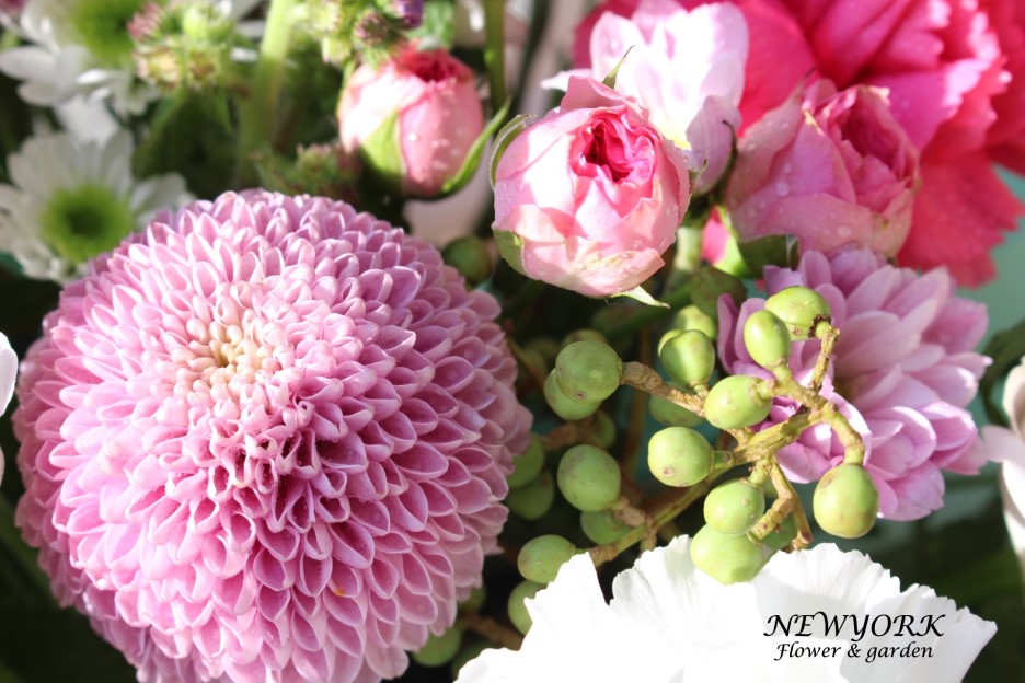 237354179_RnISvbQ9_ce7708c5b05dd94e6c50737346199b9cc647906f.jpg 이미지크게보기
