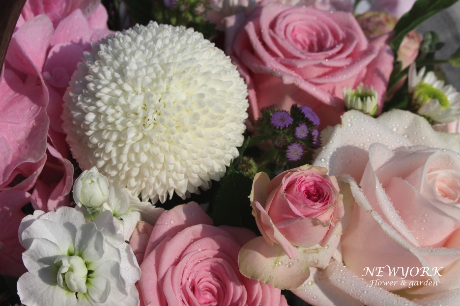 237354179_WPYAHTvL_f6801e46f586b69aaf35d6e20809cae92df2ba3d.jpg 이미지크게보기