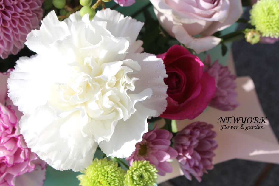 237354179_ko42iCna_e14ddbd40209e04c64bb5ae82e8a113fcad05d8a.jpg 이미지크게보기