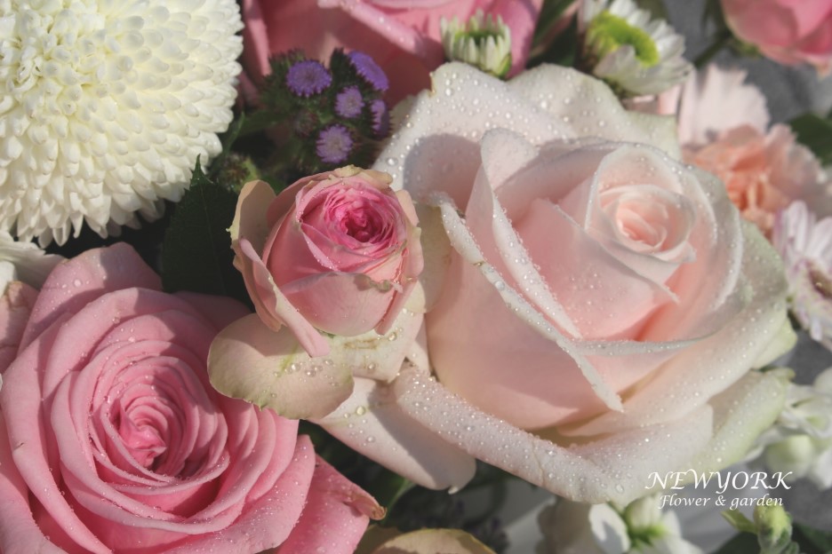 237354179_lfi04gZc_f22edd7c3d5633d8ff0bbafd7f73f115f23d8224.jpg 이미지크게보기