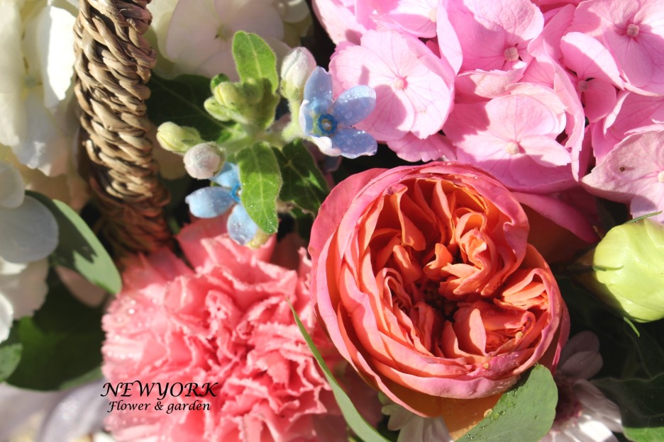 237354179_rZXfLJ51_e847a8743cf2688a58627bd7a6bafceed15c4adc.jpg 이미지크게보기