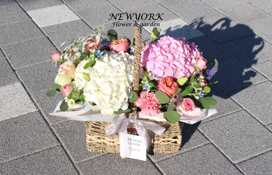 237354179_ufSxEnDi_0ea6eac87fc854acf98083684765d1bcc3ba0668.jpg 이미지크게보기