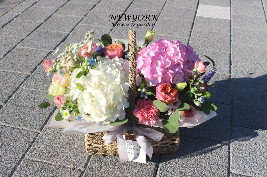 237354179_vn2ZmFBj_6edefda1e19e2691d80bb29b4a7ee26944eda68a.jpg 이미지크게보기