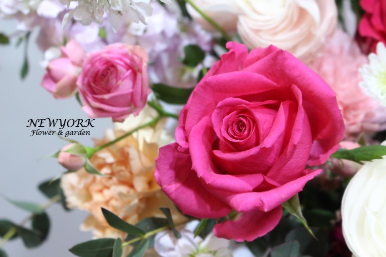 3034831955_3px14U6u_05ad79cff4b4adbe7b4e8b69a23bf57d833a898c.jpg 이미지크게보기