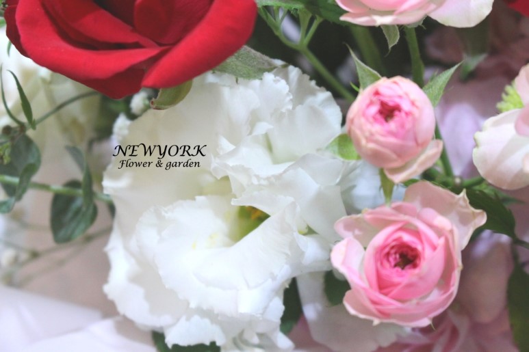 3067863498_KTXHDqli_f295855140a5e5f73532ab1c1a89c14652057901.jpg 이미지크게보기