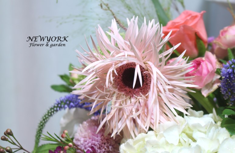 3067863498_S7EVGxQD_77808d1d0c93e486d28a66aa7c498635788d1484.jpg 이미지크게보기