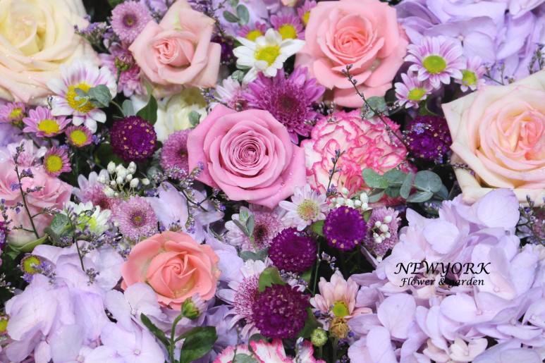 3067863498_TgdjuKaQ_04241864fa85a977cc7f4e437d2bf3509d089489.jpg 이미지크게보기