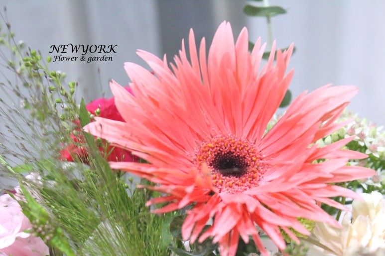 3067863498_TtqDUNSJ_472b5561b74e118c47beec45e4c341e27b07b86d.jpg 이미지크게보기