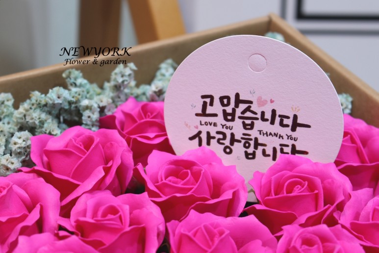 3067863498_W23kJIM8_2e117d913c5c1b18ee5c112f4bd7d73ca85685f9.jpg 이미지크게보기