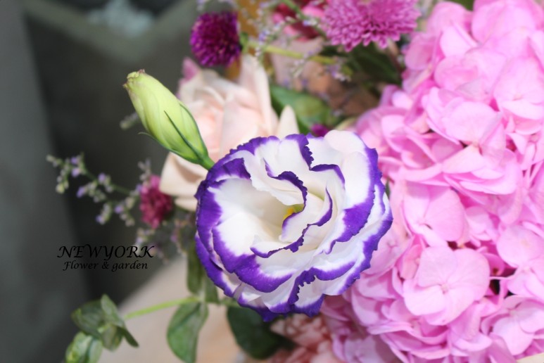 3067863498_fdFXrDWh_8a4e8970cf0ec0c273cf965bd6f60599e10659c4.jpg 이미지크게보기