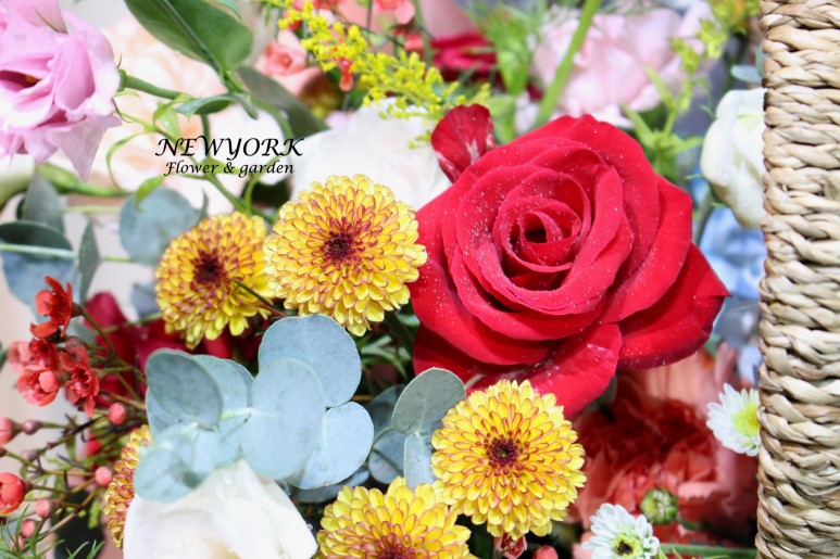3067863498_rSidMTwU_8093c3b53db1d1dd03f976082fdd8c76cefe243c.jpg 이미지크게보기