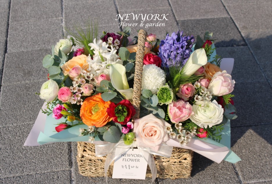 662232340_4e96ogSN_9638f62598bebef38640601ffed0b0452faa3a0c.jpg 이미지크게보기