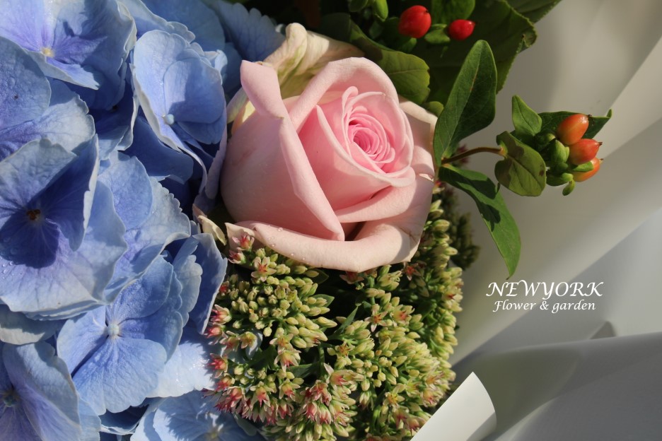 237354136_WZL6isvp_021c6622e9d0096645ca6c81e21fddc8fff3f819.jpg 이미지크게보기
