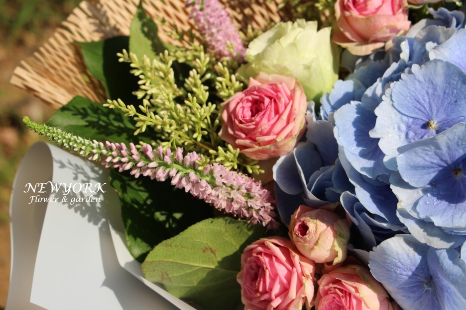 237354136_atpZL7ck_ef38e3a169c216869cee48f8c5890ba4d5d3dbde.jpg 이미지크게보기