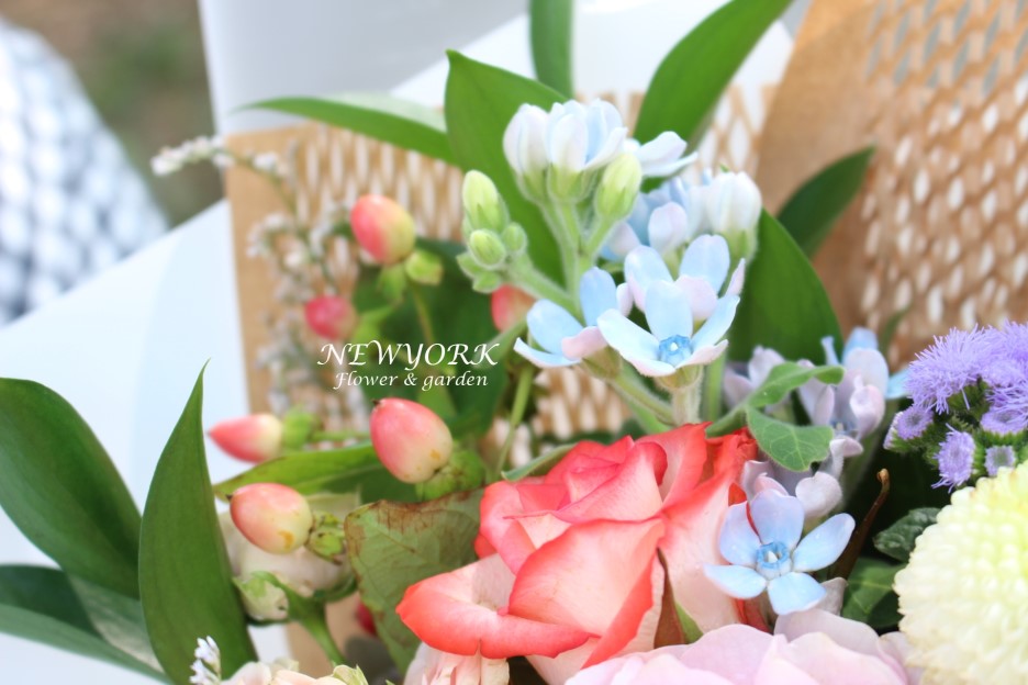 237354179_HzYIabmC_b8fc2e4729897a4b72134337bfc5c98510e41a15.jpg 이미지크게보기