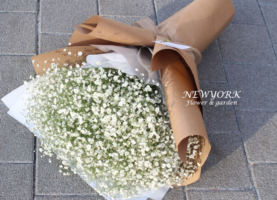 237354179_QUWbTmw2_a75a1e809c93721e087caff33b8302e3f62ce50c.png 이미지크게보기