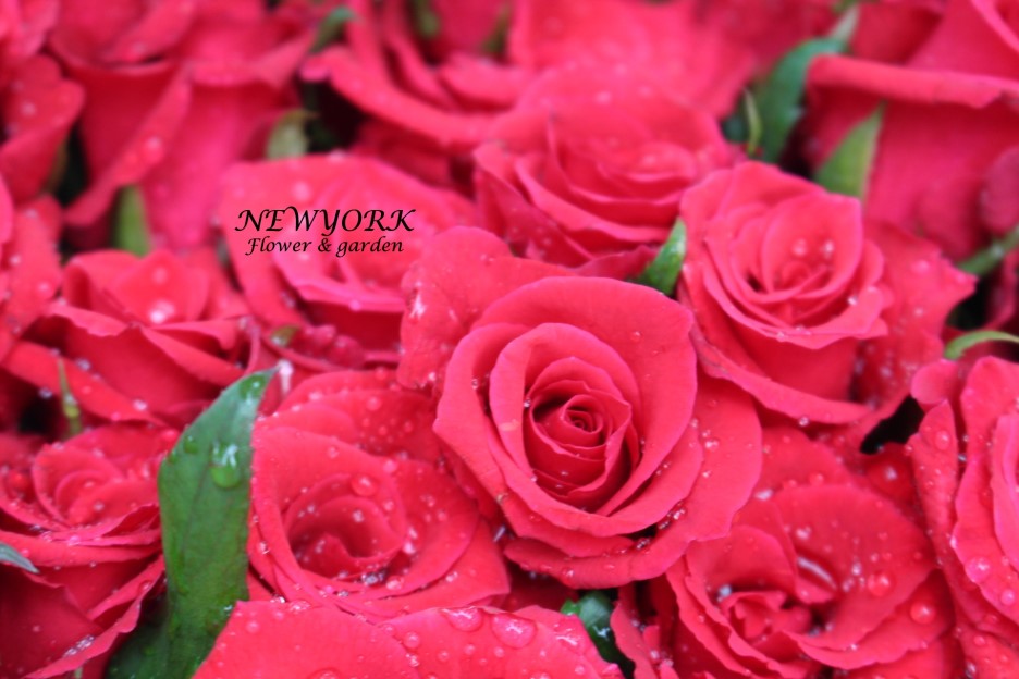 237354179_UE42P7QF_985127d4636d8f98a89df1908ca42f02ec7c4e18.jpg 이미지크게보기