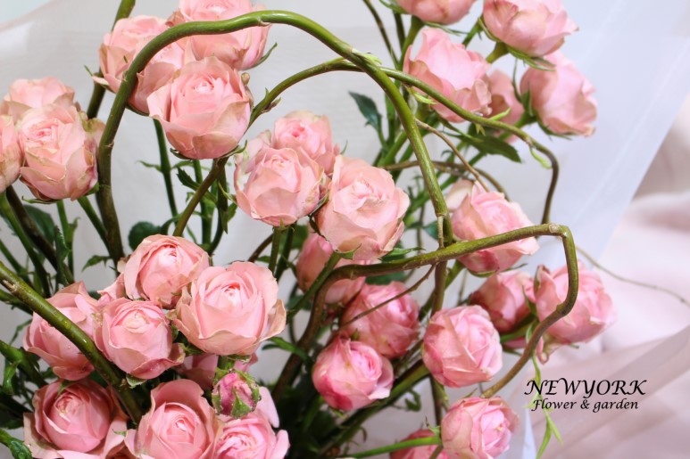 3034831955_LPNrg0UF_904a712323e55f111510a1293bf209bc63ecd382.jpg 이미지크게보기