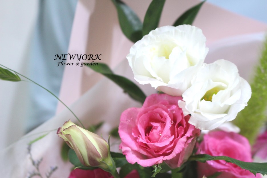 3034831955_Qj1eLORX_7f08e9fac5f0723fc8f61db1c4f7270e9083e5a9.jpg 이미지크게보기