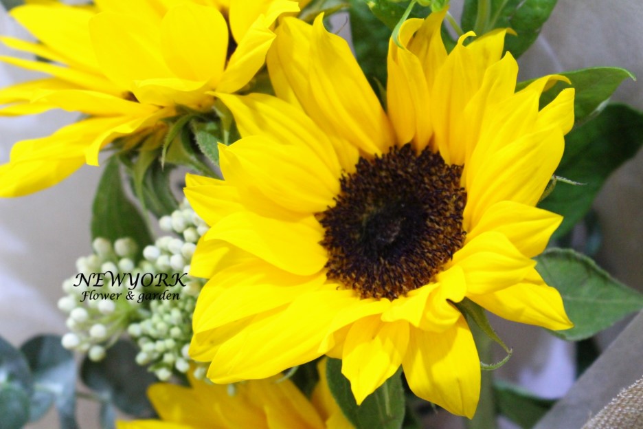 3034831955_UK5uIZG4_638b9523f3355bead1ad1d703ca7d9e5cab501b5.jpg 이미지크게보기